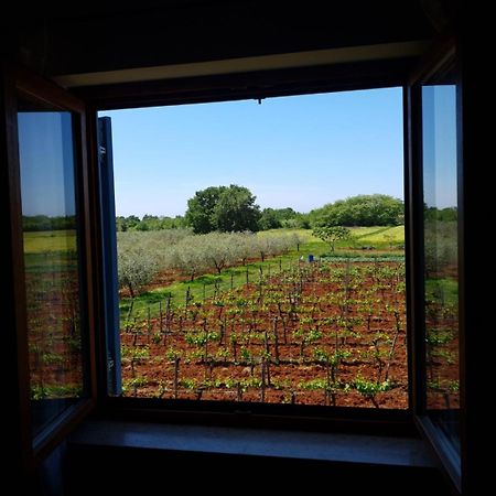 Apartment And Rooms Hacienda Stelio Porec Ruang foto