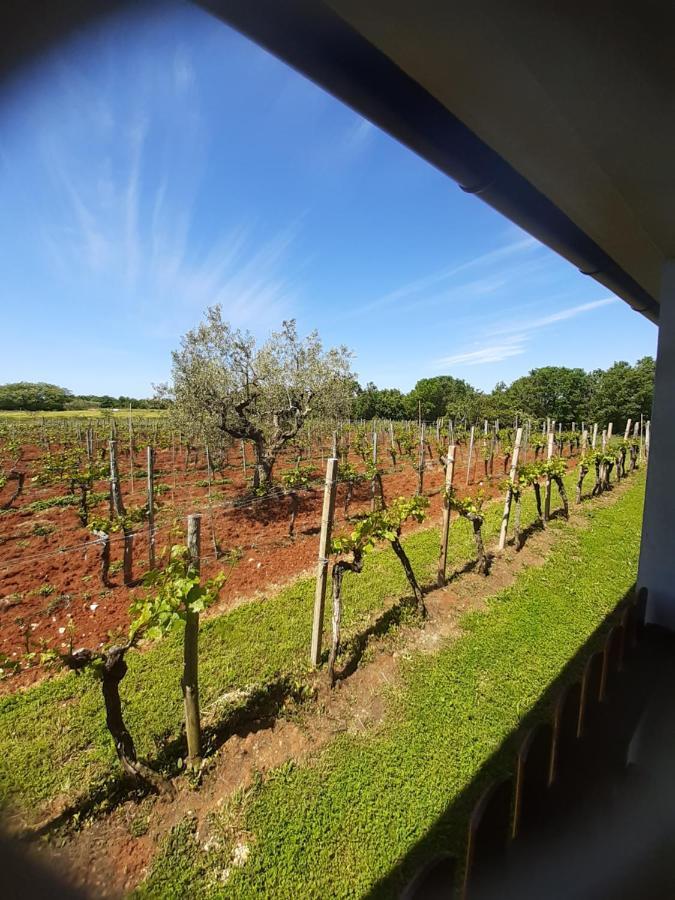 Apartment And Rooms Hacienda Stelio Porec Bagian luar foto