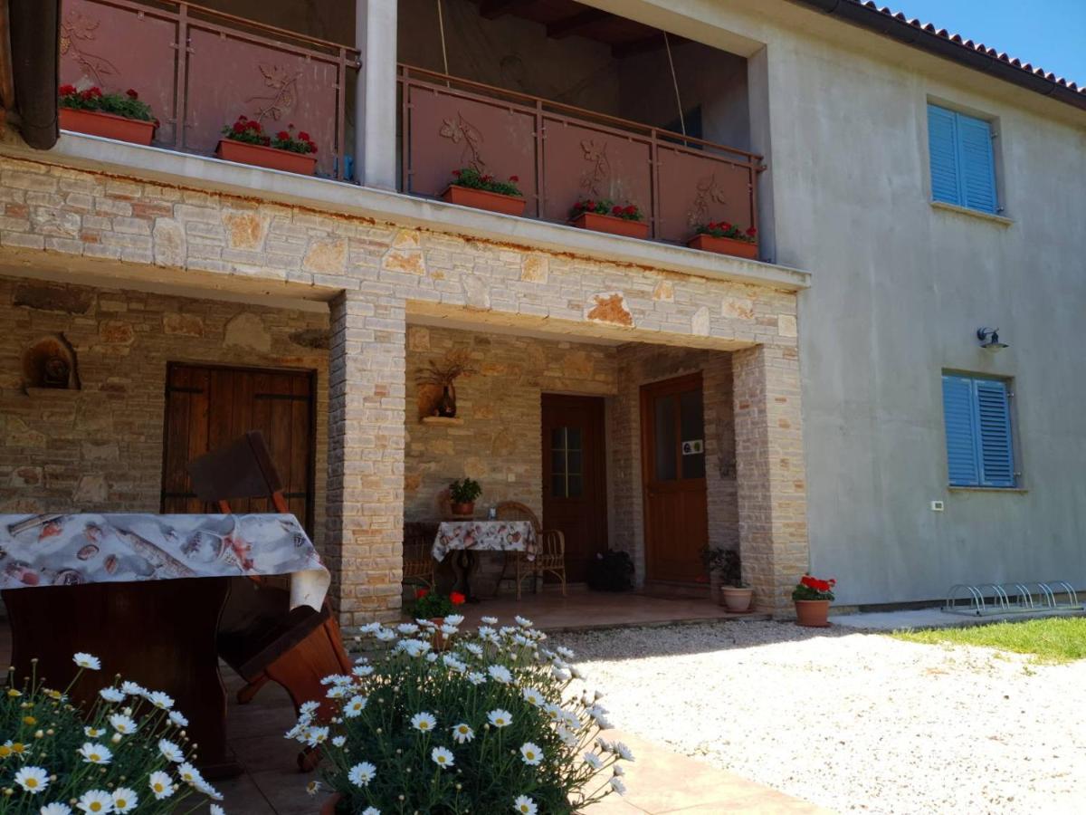 Apartment And Rooms Hacienda Stelio Porec Bagian luar foto