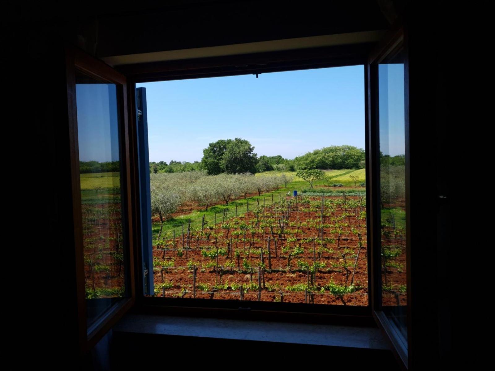 Apartment And Rooms Hacienda Stelio Porec Ruang foto